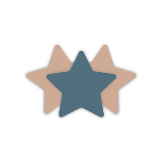 Delphine P – Velux France